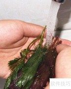 迷你创意鱼缸制作指南