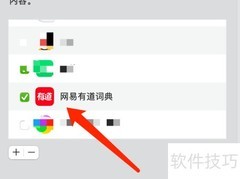 Mac版有道词典开启屏幕取词