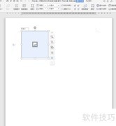 WPS插入图片控件教程