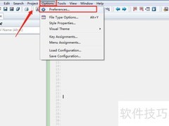 SourceInsight主题设置方法