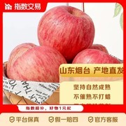 山东烟台红富士苹果，带箱2斤7.8元，速来！