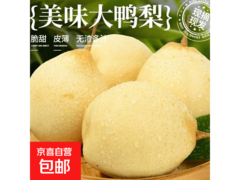 河北水晶鸭梨当季新果，满2.01减2，2.99元带回家