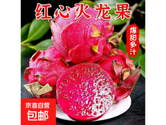 金都一号红心火龙果整箱包邮，券后 4.99 元速抢！