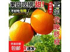 纽荷尔脐橙！原价9.9元1斤，用券后仅4.9元带回家