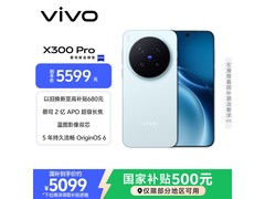 vivo X300 Pro自在蓝版京东直降300元热卖