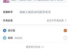 稻壳儿WPS大会员3年215元