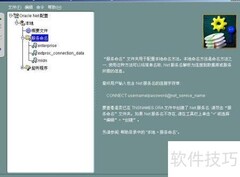 Oracle 11g到10g完美导出