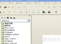 PL/SQL连接Oracle10g指南
