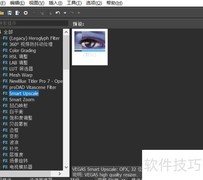 Vegas四大FX效果详解