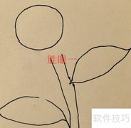 向日葵绘画步骤详解