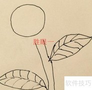 向日葵绘画步骤详解