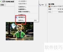Neat Image自动缩放开启方法