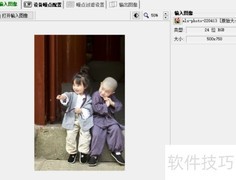 Neat Image工具栏提示设置