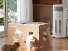 养猫要买空气净化器吗？2026五大品牌实测告诉你答案