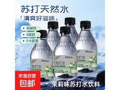 夏日必备！茉莉味苏打水300ml试喝装仅售1元