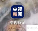 央视新闻APP听新闻连续播放设置
