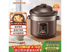 九阳DG50Z-GD510电炖锅138元