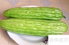 苦瓜营养成分解析