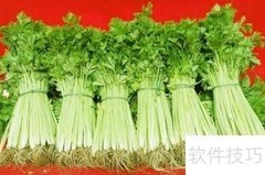 芹菜营养成分解析