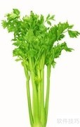 芹菜营养成分解析