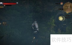 巫师3魔力之所使用指南