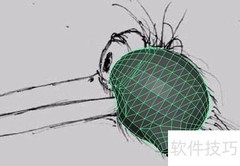 Maya立方体模型应用技巧