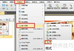 RTF转PDF插入方法