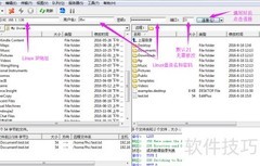 Linux开发常用FTP工具指南