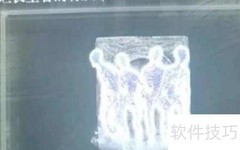 艾尔登法环：腐烂长生者骨灰获取