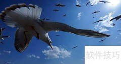 摄影作品命名技巧