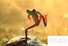 摄影作品命名技巧