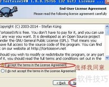 SVN客户端安装指南