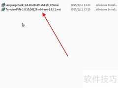 SVN客户端安装指南
