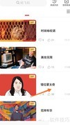 冥想中的错位蒙太奇