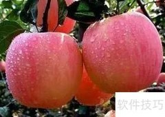 富贵如意卷制作教程