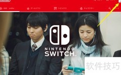 Switch地区切换全攻略