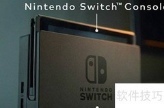 Switch新手入门指南