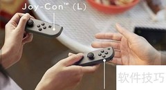 Switch新手入门指南