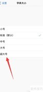超大字号网址大全设置方法
