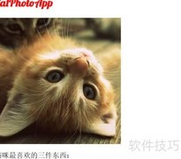 CSS调整图片尺寸技巧