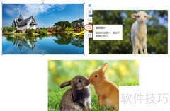 PPT图片编辑实用技巧