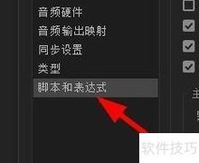 AfterEffects脚本设置指南