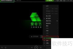 播放器DNAL位置全解析