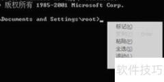 内存不能为read错误解析