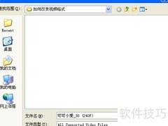 SWF视频转换播放技巧