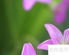 监理施工45要点精要