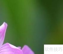 监理施工45要点精要