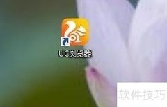 yy伴侣电脑版下载方法