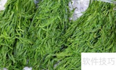 云龙菜种植技巧