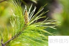 防治眼底动脉硬化小妙招